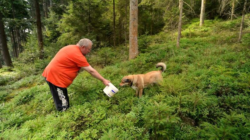 Tierschutz-Hündin Lucy genießt die Idylle