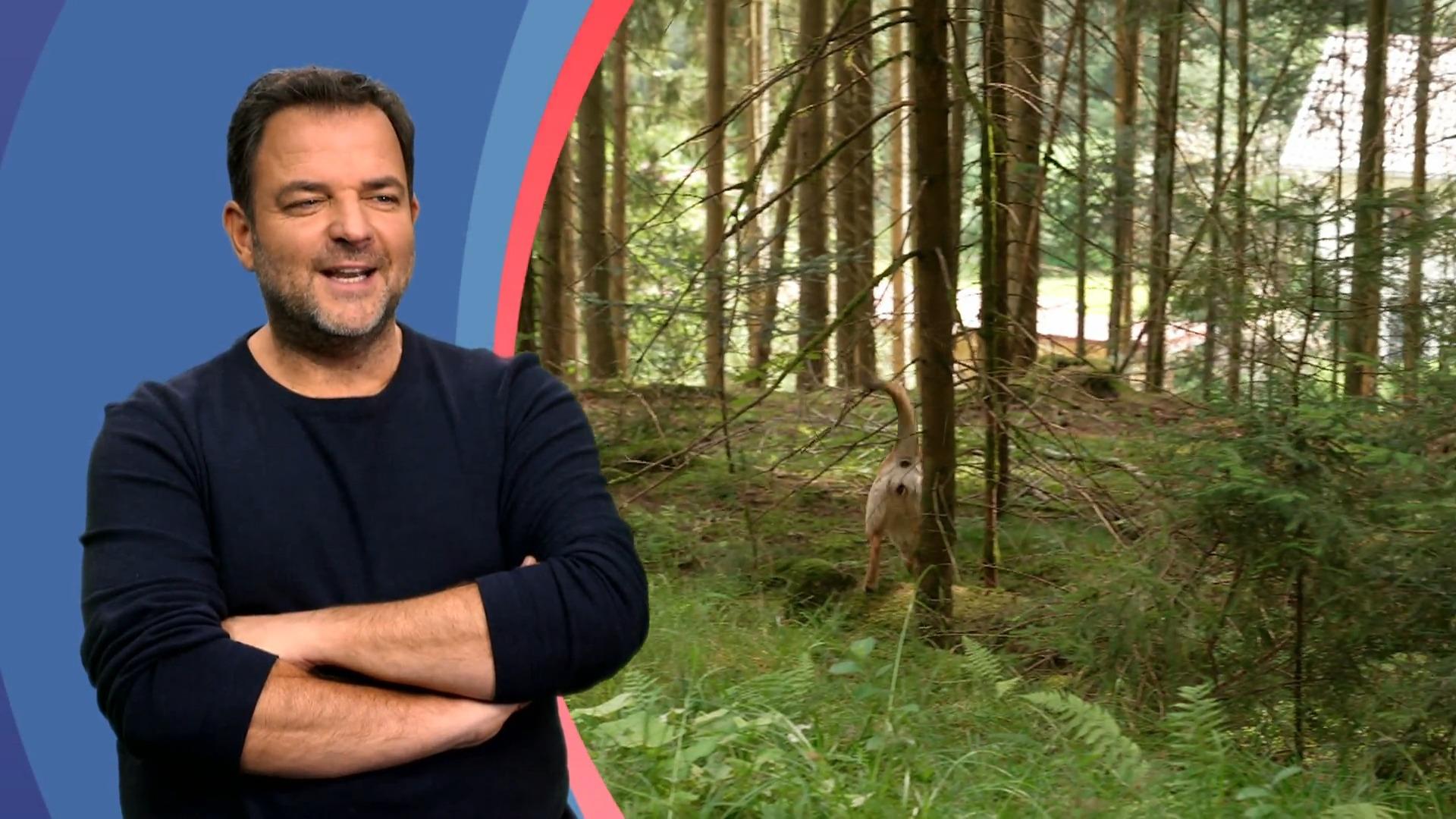 Martin Rütter ist das Risiko zu groß!