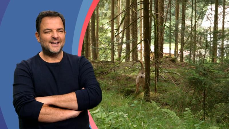 Martin Rütter ist das Risiko zu groß!