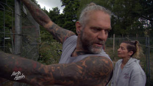 Horror Baustellen auf dem Gnadenhof Rhein-Hunsrück