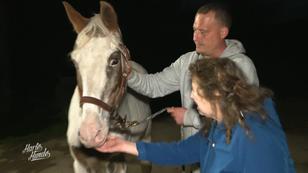 Champ entpuppt sich als Einzelgänger