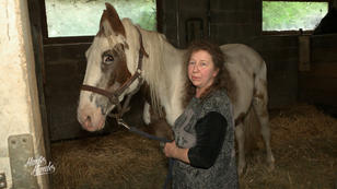 Champ bereitet Sylvia große Sorgen