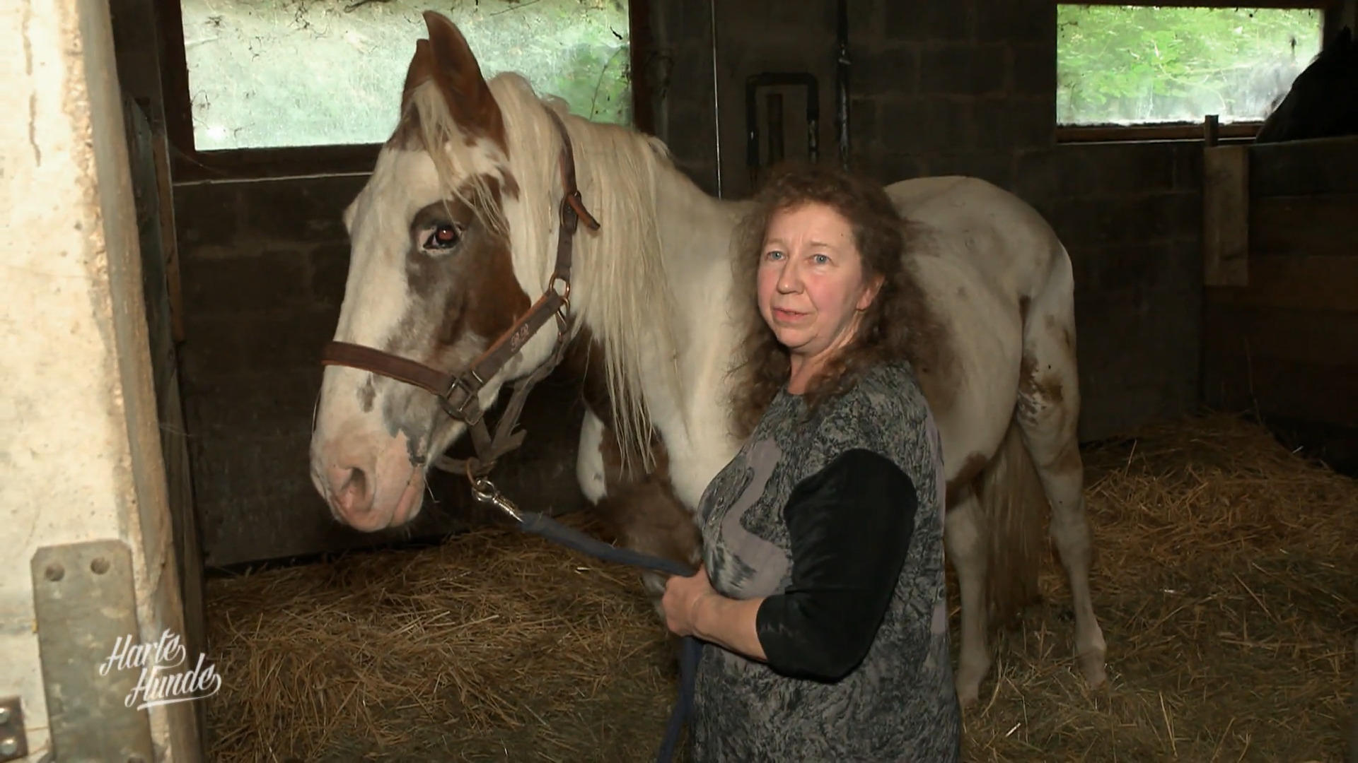 Champ bereitet Sylvia große Sorgen