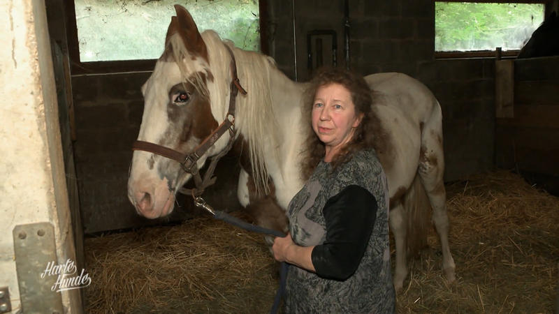 Champ bereitet Sylvia große Sorgen