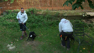 Vorsichtige Hundezusammenführung