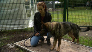 Brixie hatte einen bösartigen Tumor