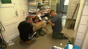 Selmas Rute konnte gerettet werden