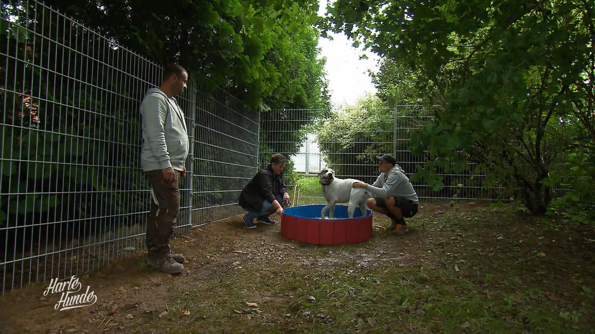 Der Hundeauslauf wird schick gemacht