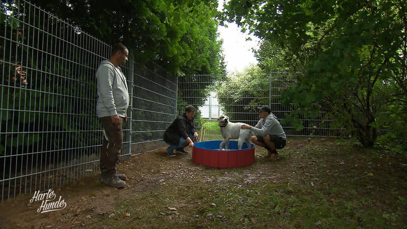 Der Hundeauslauf wird schick gemacht