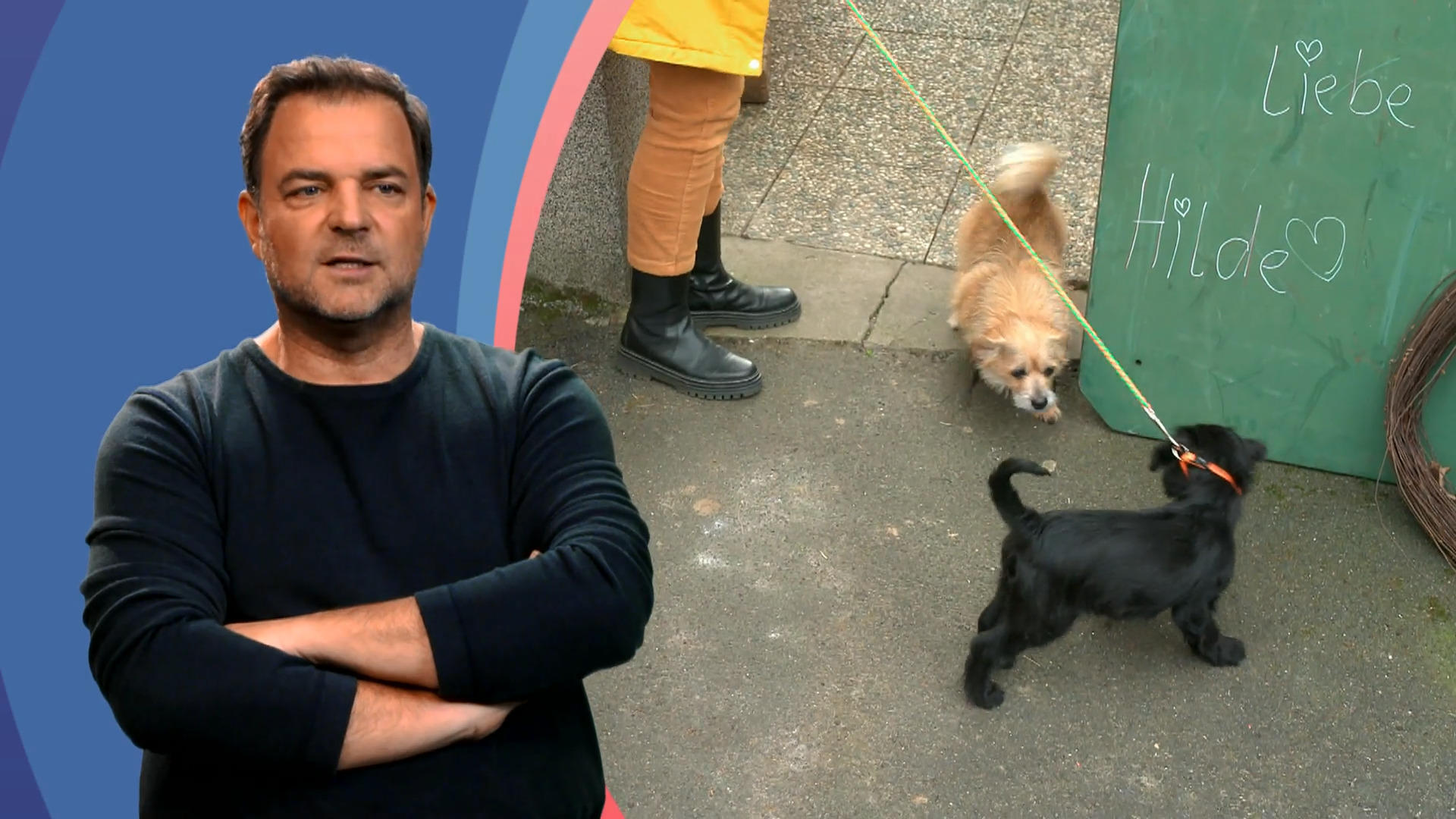 Schlechter Einstieg für Hilde und Jacky