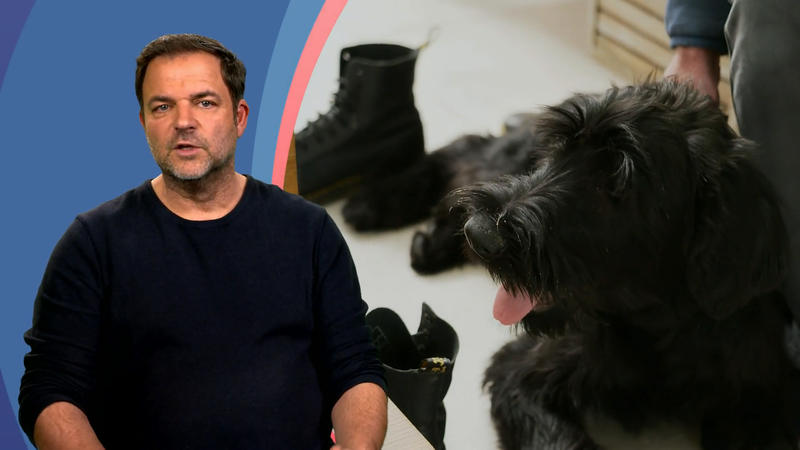 Das erste alleine bleiben stresst Ilvy sehr