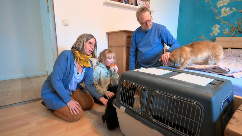 Hundefreie Zone im Bett - oder doch nicht?