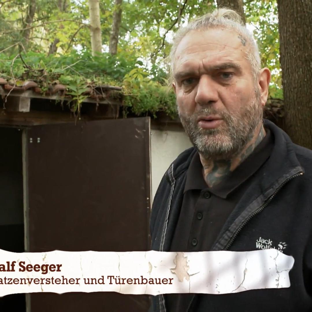 Eine Scheune wird zum Katzenparadies