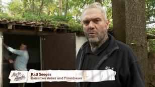 Eine Scheune wird zum Katzenparadies