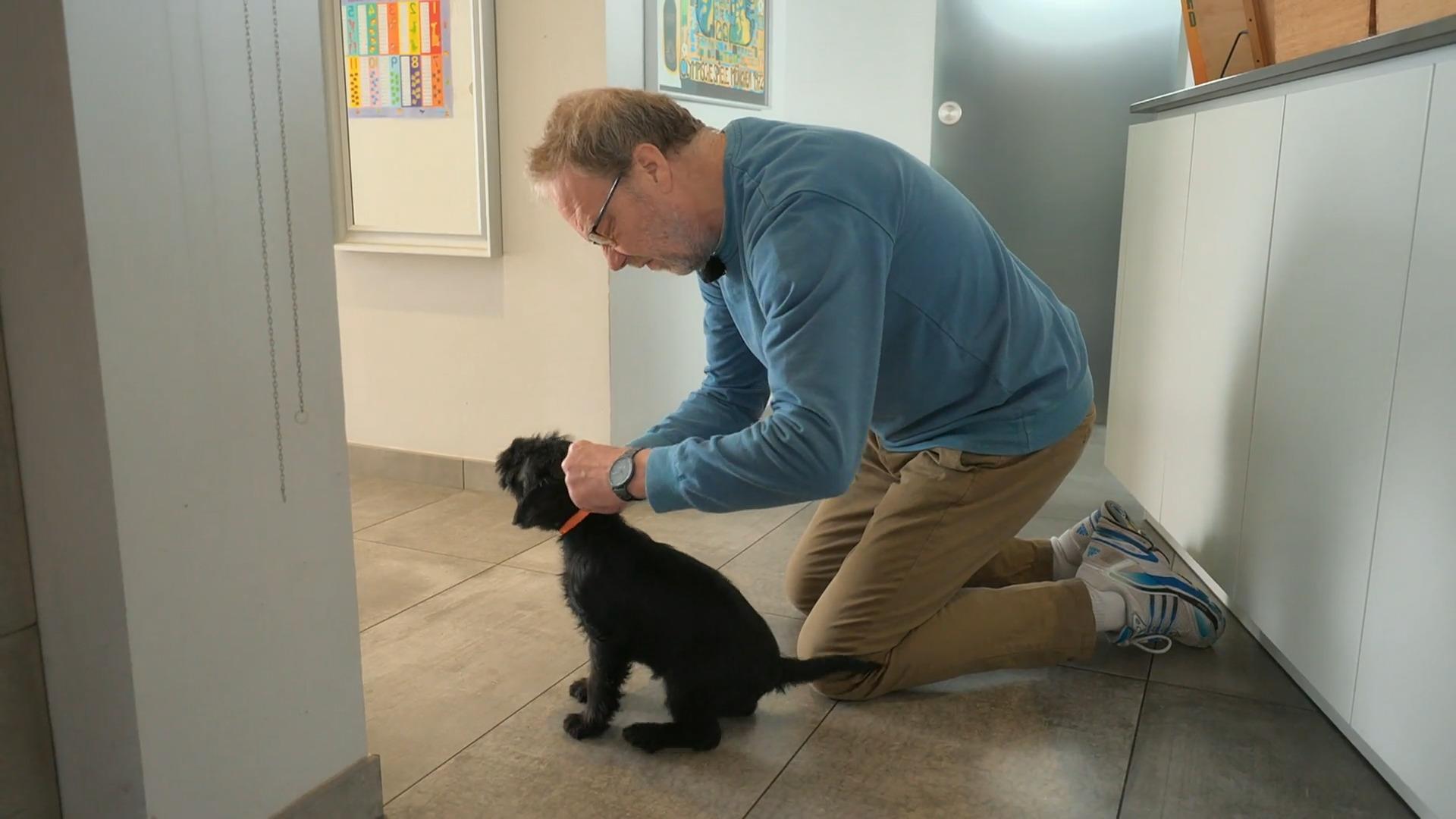 Erst das Halsband: Hildes erster Ausflug steht an