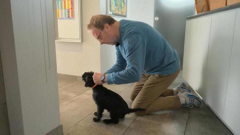 Erst das Halsband: Hildes erster Ausflug steht an