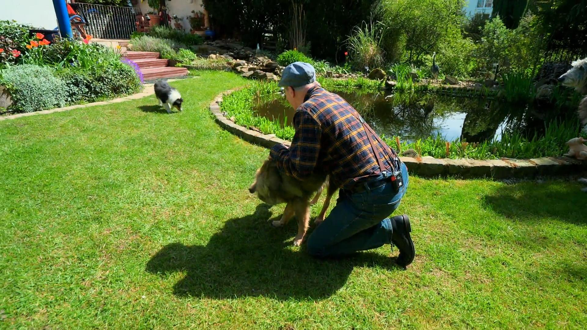 Mit Frank und Welpe Abby läuft es noch nicht rund