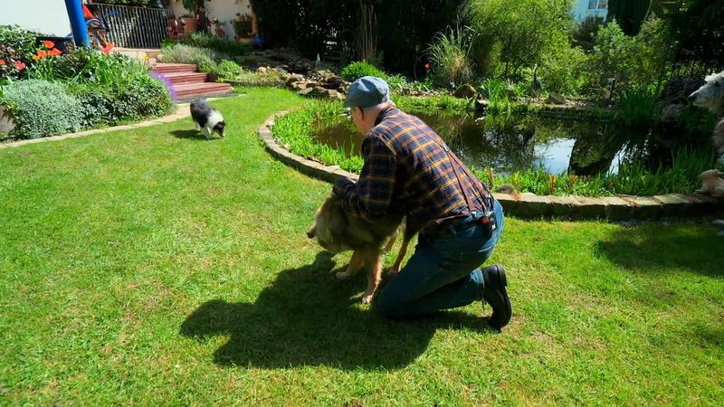 Mit Frank und Welpe Abby läuft es noch nicht rund