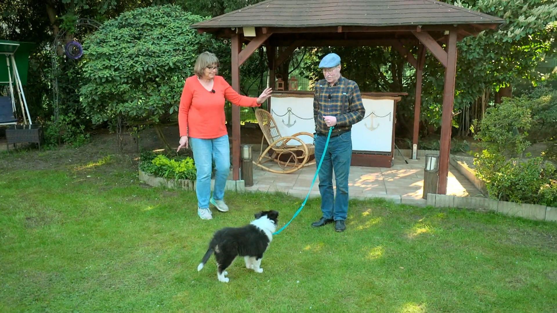 Frank bekommt Nachhilfe in Hundeerziehung