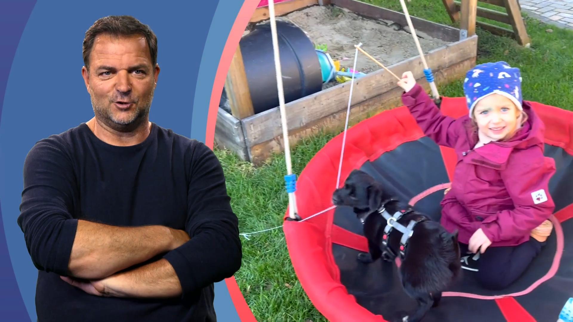 Tierschutzwelpe Phoebe ist angekommen