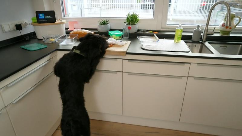 Trainerin Larissa hat eine gute Idee gegen die Essensdiebin