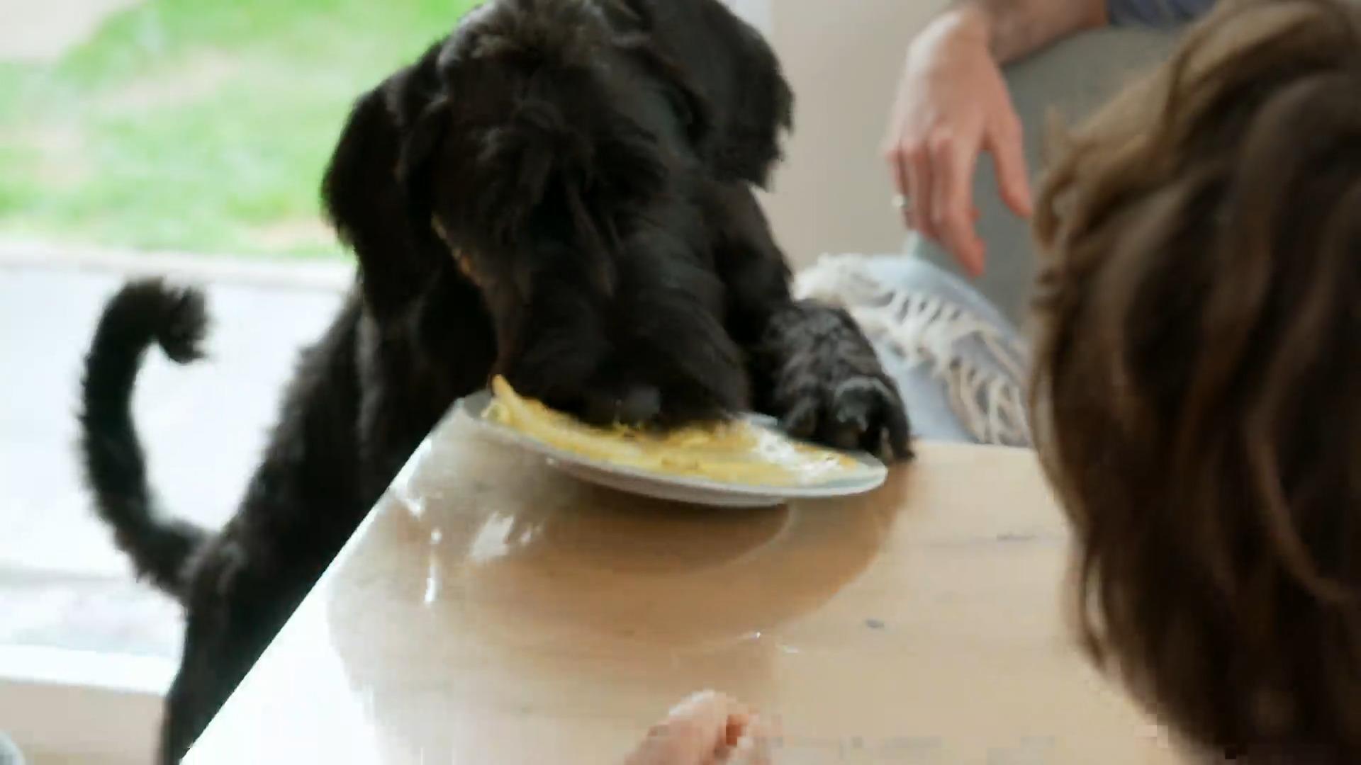 Larissas Senf-Idee war wohl eine Schnapsidee!