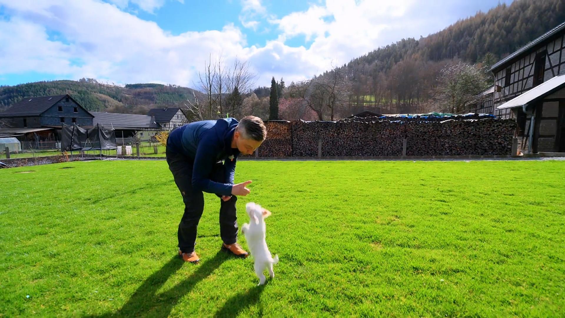 Welpe Rudi hat seinen ganz eigenen Kopf