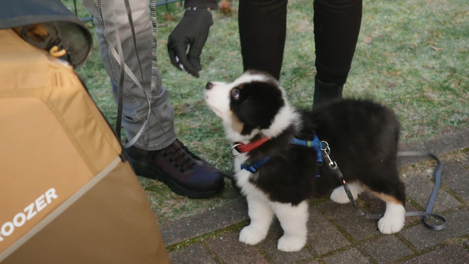 So geht es Juno zwei Wochen nach Einzug