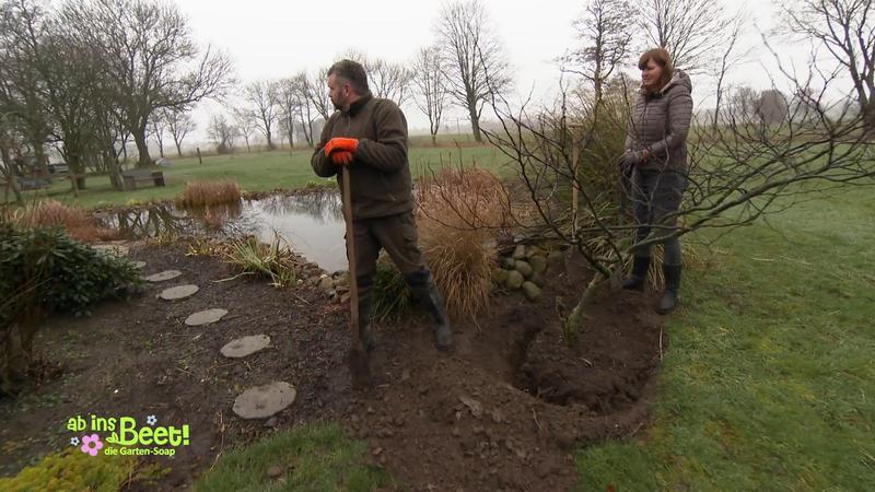 Schwimmteich auf hundert Jahre altem Bauernhof