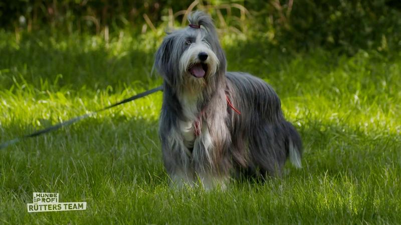 Elli ist kamerascheu!