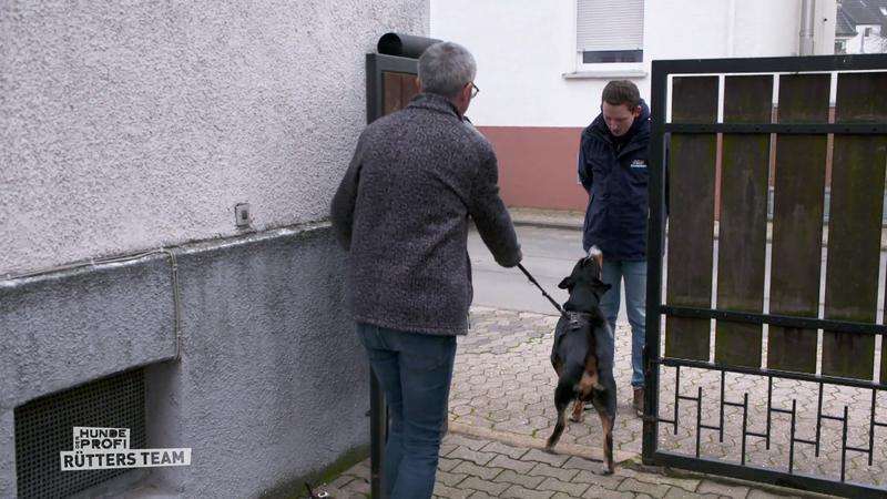 Was erwartet Marcel heute?