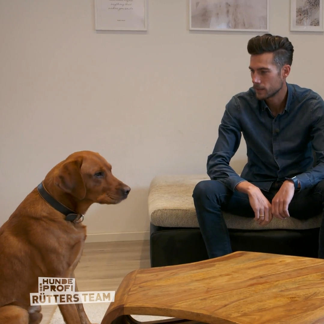 Für Gustav ist Essen klauen nun tabu