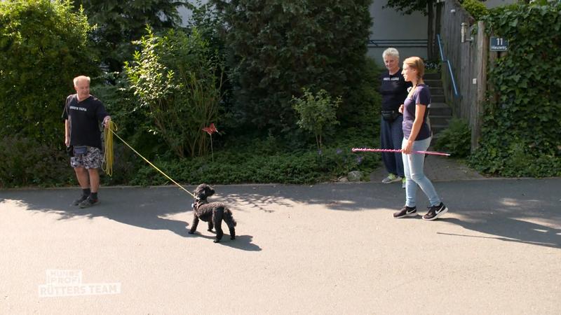 Coco möchte nicht mit ihrem Herrchen Gassi gehen