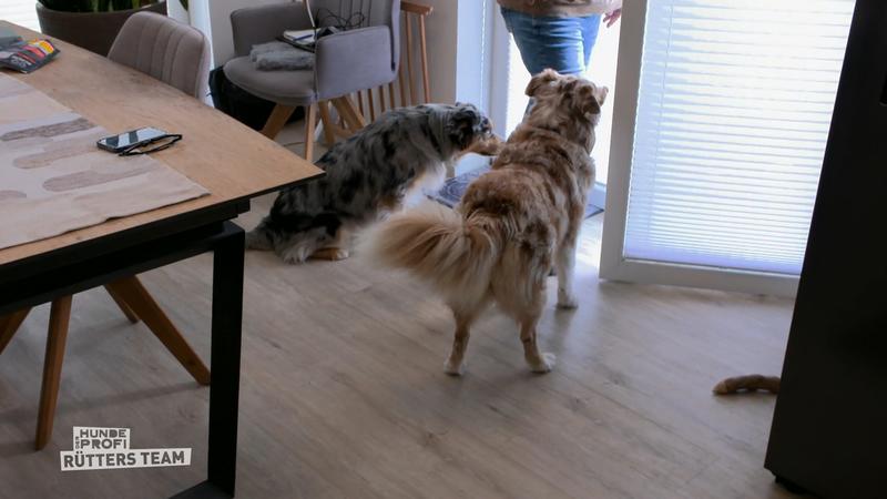 Mutter und Tochter gehen aufeinander los