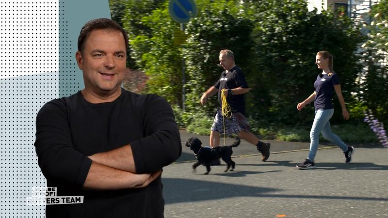 Pudeldame Coco macht Fortschritte
