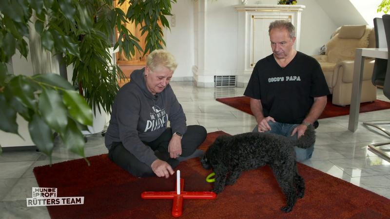 Hat Andrea immer noch das Kommando?