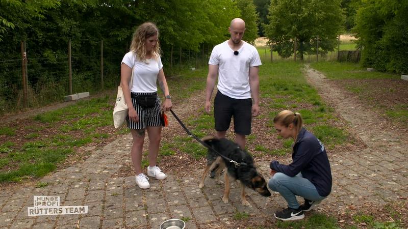 Wie schätzt Profi Sophie Hündin Honey ein?