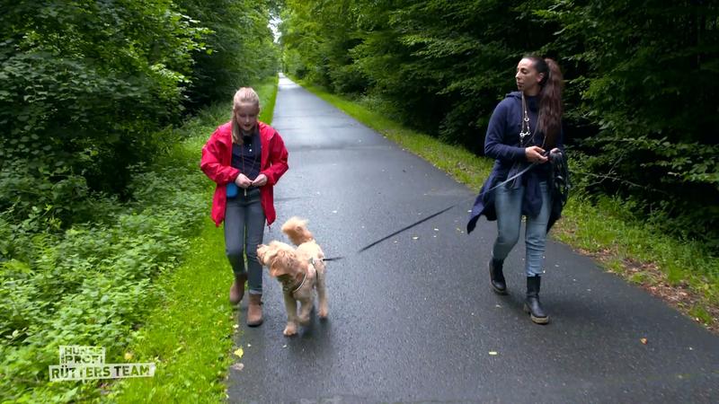 Hat sich das Training gelohnt?