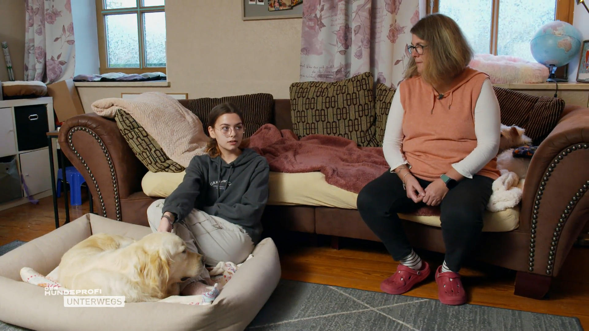 Hund Chap und Annika helfen sich gegenseitig