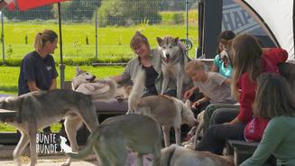 Diese Tiere verzaubern ihre Besucher