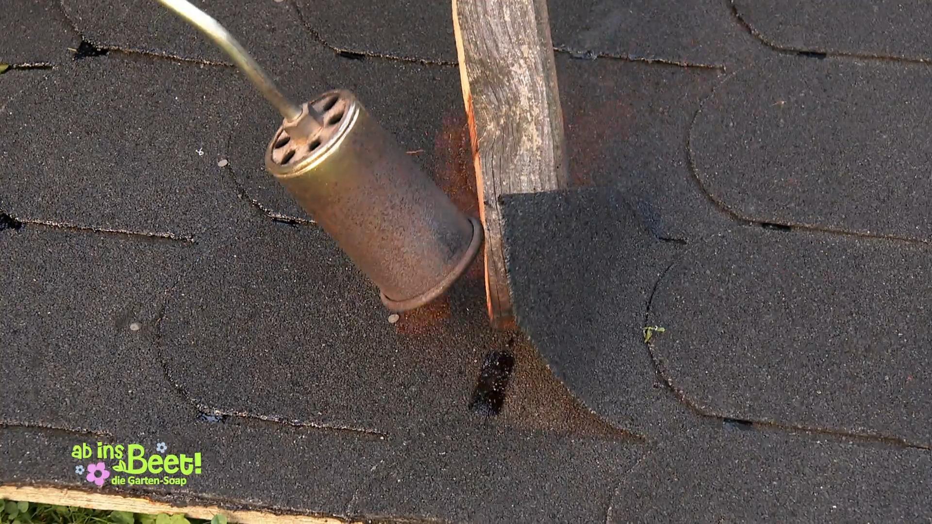 Die Umbauten des Hühnerstalls beginnen