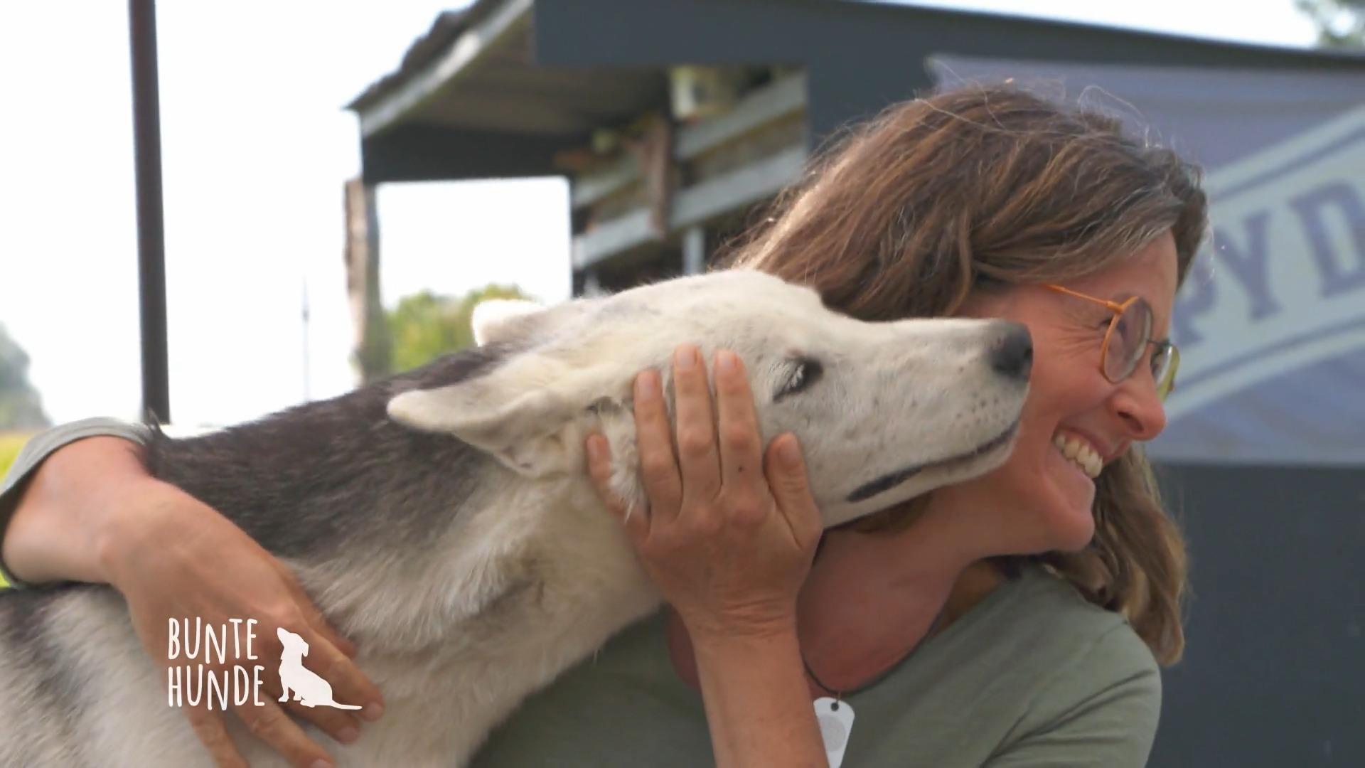Hier gibt es einen Husky-Kuschel-Kurs!