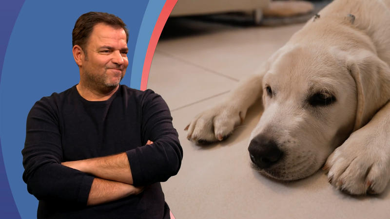 Papa Möller ruft zum Essen - Doch Loki bleibt liegen