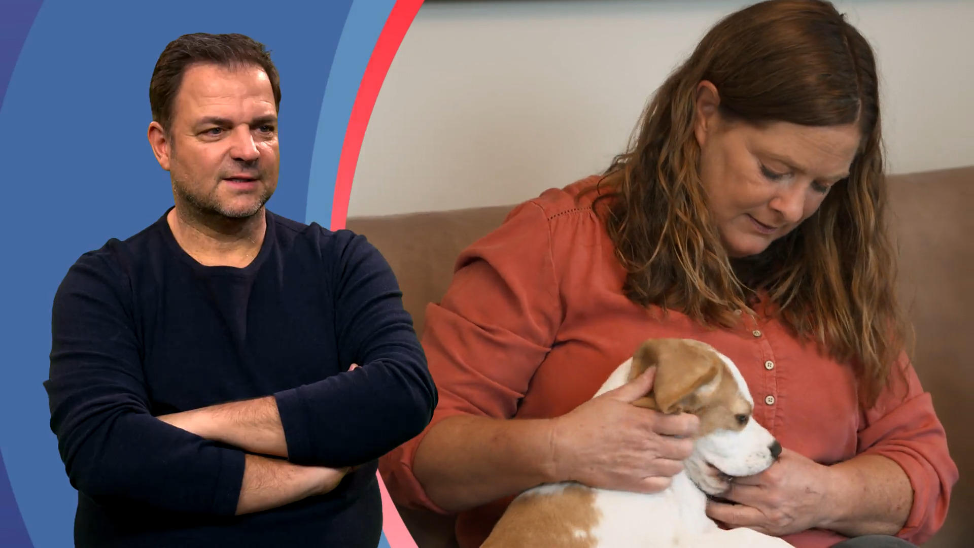 Beißroblem bei Beagle Summer