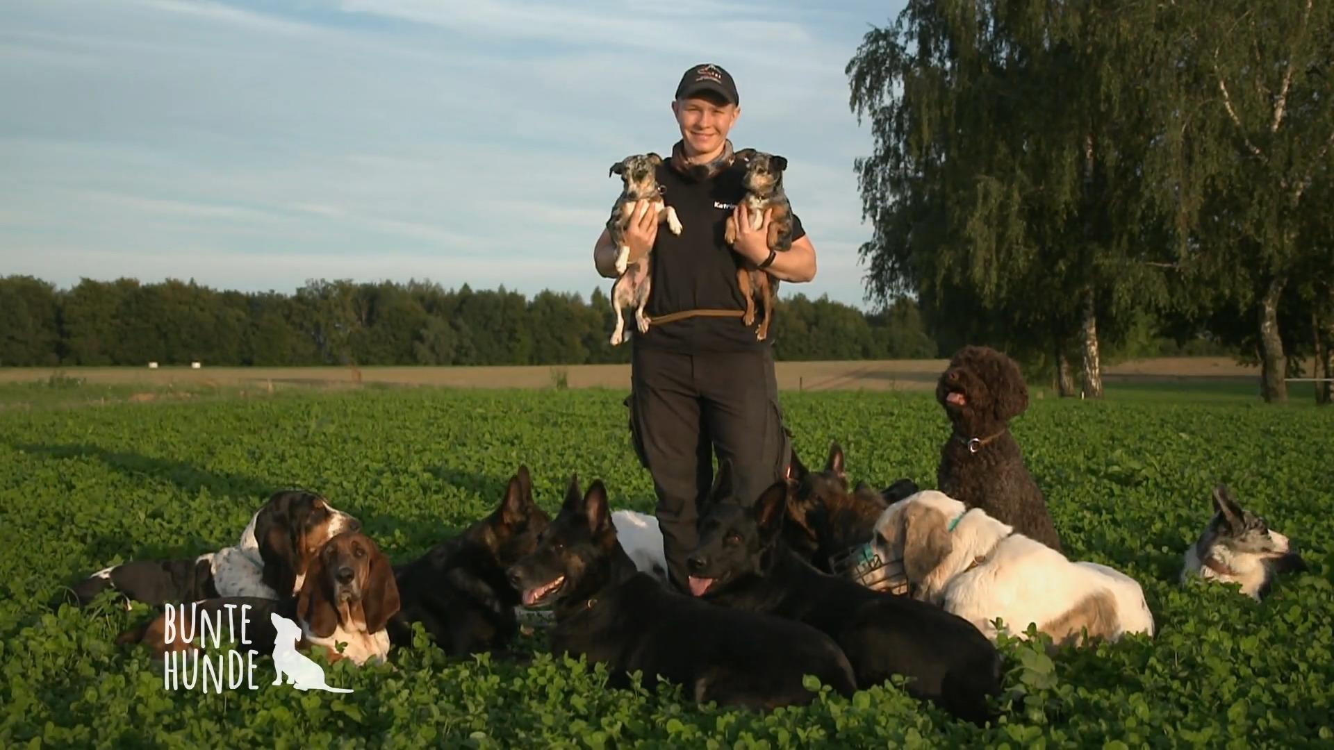 Eine XXL-Hunde-WG!