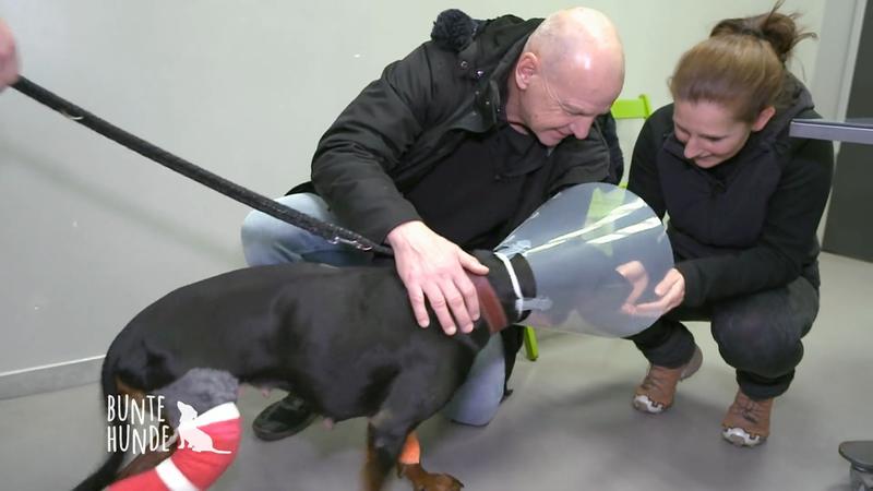 Leila kommt nach Hause