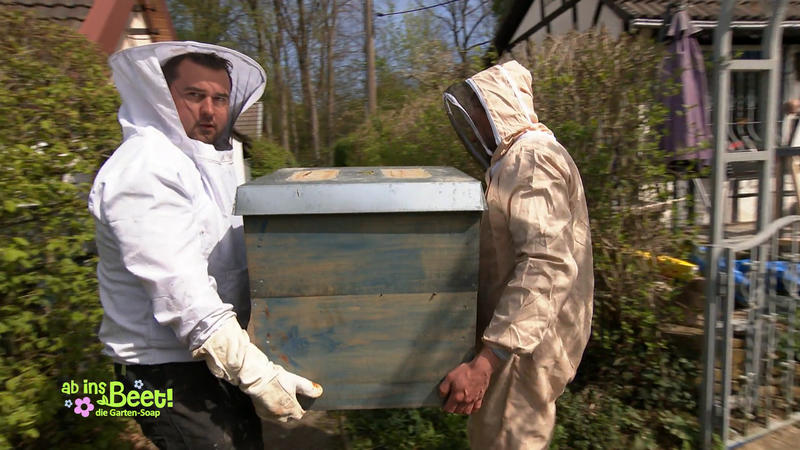 Marco und Martin organisieren einen Bienen-Umzug
