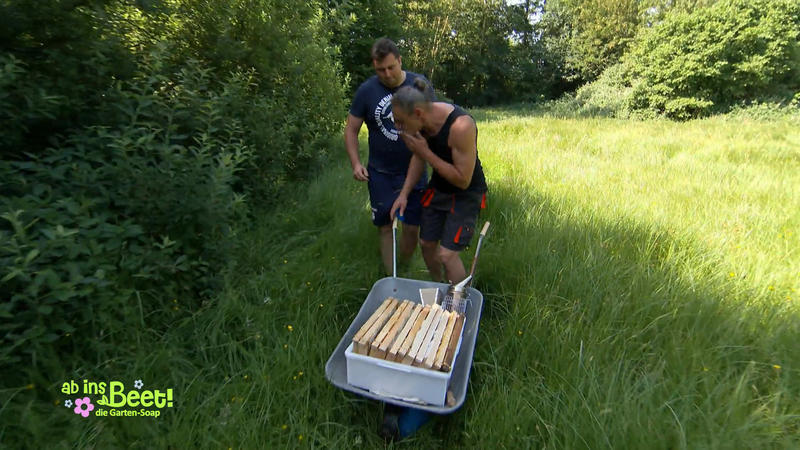 Wer Bienen hat, muss Stiche abkönnen