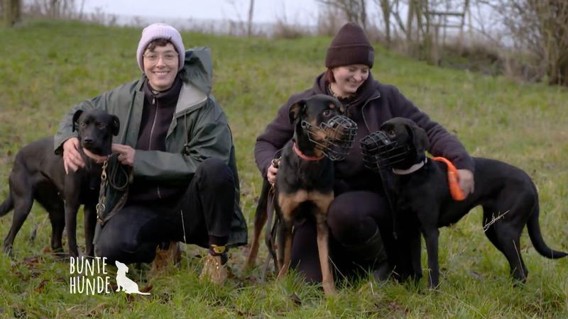 Ihre Hundepension zieht um