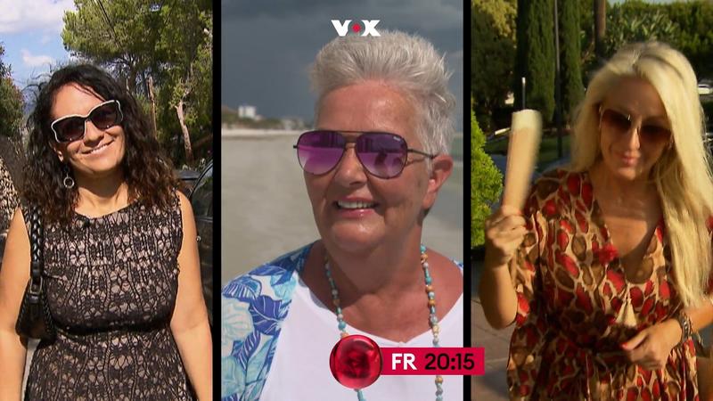 Drei Frauen suchen das Maklerglück